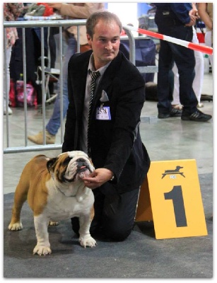 Bull's of Normandy - International LUXEMBOURG DOG SHOW