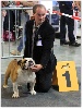  - International LUXEMBOURG DOG SHOW